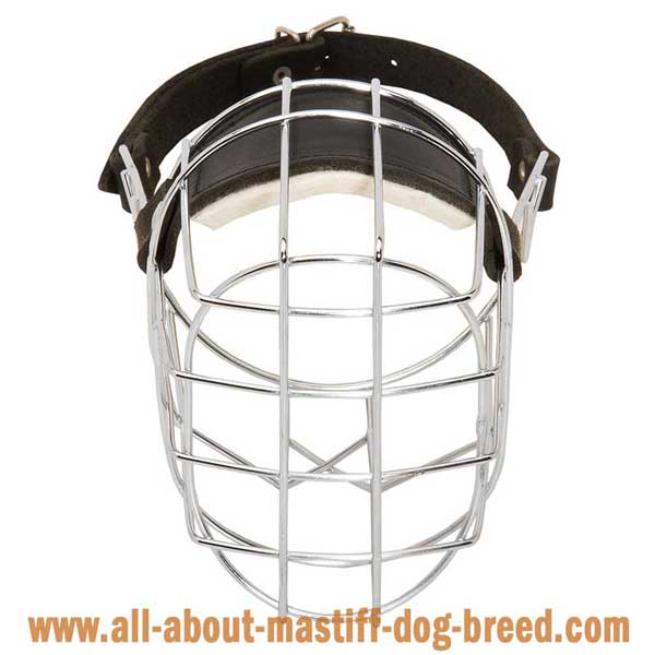 French Mastiff Wire Basket Muzzle with Perfect Air Circulation