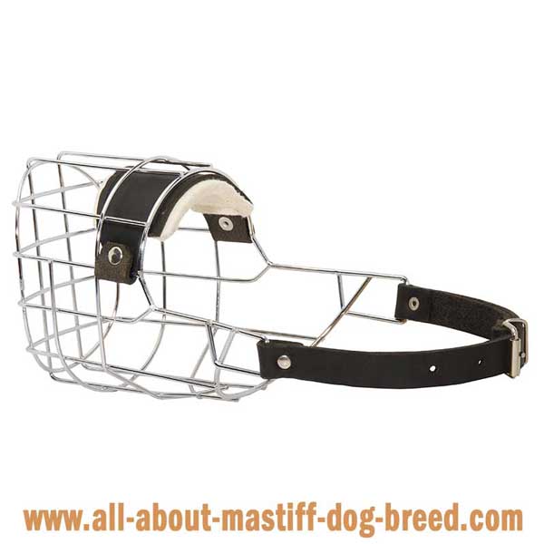 French Mastiff Wire Basket Muzzle with One Strap
