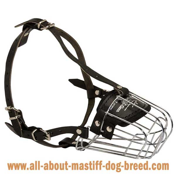 German Mastiff metal muzzle with adjustable straps 