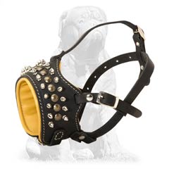 Mastiff Leather Dog Muzzle Decorated with Spikes and Studs