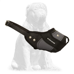 Mastiff Leather Nylon Muzzle Easily Adjustable