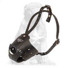 Mastiff Muzzle made of leather