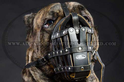 All purpose muzzle with perfect air flow for Mastiff