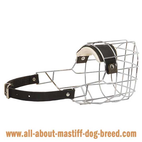 Bullmastiff Wire Basket Muzzle with One Strap Equipped