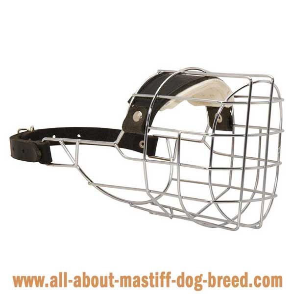 Bullmastiff Wire Basket Muzzle with Good Ventilation