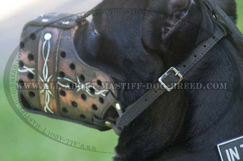 Handpainted Leather Dog Muzzle for Attack Training