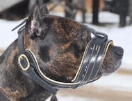 Convenient leather Nappa padded muzzle for Cane Corso