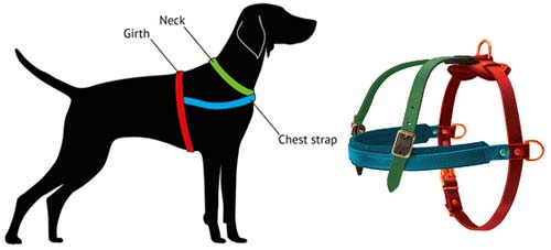 dog harness with chest ring