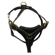 Tracking and Walking English Mastiff Harness made of Leather