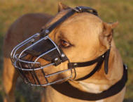 American Bandogge Mastiff Extra Large Wire Basket Dog Muzzle